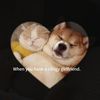 carsanddogs13