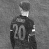 wll.tonni6