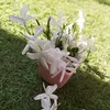 marwa.altawel