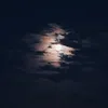 clipsnshi12