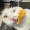 mrflimflams.toe