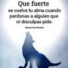 omarep16