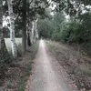 hymalaya0