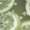 adami_adashino268