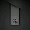 user2062402990244
