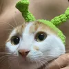 meocamcontrai