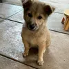 ngoc.nguyen8001