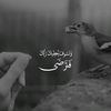 quran87341