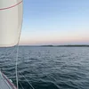 .irisdasilva