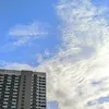drzzl13