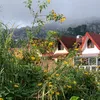 yheksogien