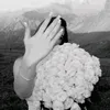i_rr682