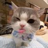 billa_0770