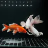 Minh Cá 🐠
