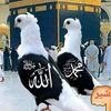 waseemakram5479