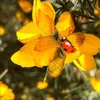 lillian130518251120