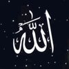 user9006507944440