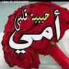 user9015632278101