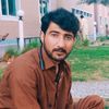 haroon.bacha804