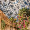 khaled_xy2