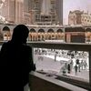 yasser.ali560