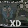 mikel0712_