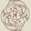 alphapiscium_10