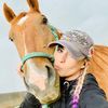 violet.horses4
