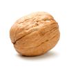 westernwalnut