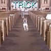 darkxxwolf07