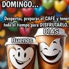 rosa_duran48