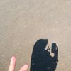 _diayuprtwi_