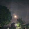 kamiliasudi1