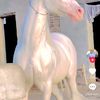 user1963022633181
