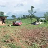 caotrananan
