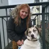 heike746