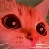 wohtuh