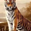 nhn.l.thnh31