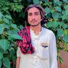 hassanmari786