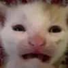 tt0t3m