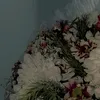 sivan_283