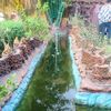 sadiya.sultana46