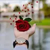 user8496628668007