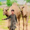 hamzamalik_2827