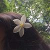 tasneem_thuha_07
