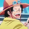 colo_313op