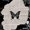_siima_7
