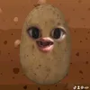 giahoainga