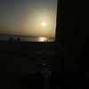 raneem8276