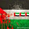 faruk3493